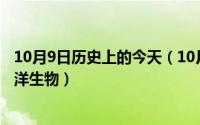 10月9日历史上的今天（10月08日海底世界有许多什么的海洋生物）