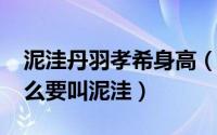 泥洼丹羽孝希身高（10月29日丹羽孝希为什么要叫泥洼）