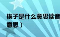 楔子是什么意思读音（10月28日楔子是什么意思）