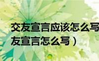 交友宣言应该怎么写（10月29日三年级的交友宣言怎么写）