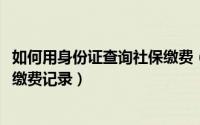 如何用身份证查询社保缴费（10月29日怎么用身份证查社保缴费记录）