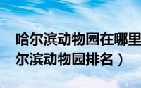 哈尔滨动物园在哪里价格多少（10月30日哈尔滨动物园排名）