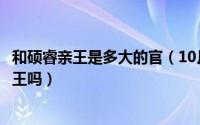 和硕睿亲王是多大的官（10月30日和硕怡亲王是最高级别亲王吗）