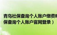 青岛社保查询个人账户缴费明细查询官网（10月30日青岛社保查询个人账户官网登录）