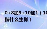 0+8加9+10加1（10月30日漫山遍野红花开指什么生肖）