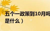 五个一政策到10月吗（10月08日五个一内容是什么）