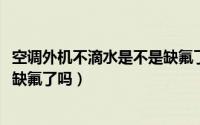 空调外机不滴水是不是缺氟了（10月08日空调外机不滴水是缺氟了吗）