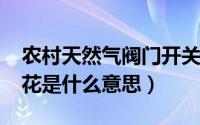 农村天然气阀门开关示意图（10月30日交际花是什么意思）