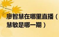 廖智慧在哪里直播（10月30日智勇大冲关廖慧敏是哪一期）