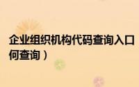 企业组织机构代码查询入口（10月30日企业组织机构代码如何查询）