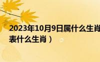 2023年10月9日属什么生肖（10月30日心猿意马醉梦中代表什么生肖）