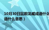 10月30日鼠胆龙威成语什么意思啊（10月30日鼠胆龙威成语什么意思）