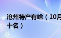 沧州特产有啥（10月08日沧州特产排行榜前十名）