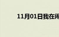 11月01日我在闹他在笑什么意思