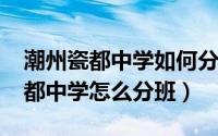 潮州瓷都中学如何分班（10月08日潮州市瓷都中学怎么分班）