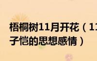 梧桐树11月开花（11月01日梧桐树表达了丰子恺的思想感情）