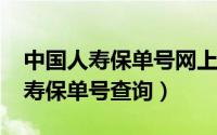 中国人寿保单号网上查询（11月01日中国人寿保单号查询）