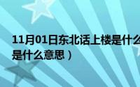 11月01日东北话上楼是什么意思啊（11月01日东北话上楼是什么意思）