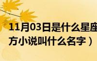 11月03日是什么星座（11月01日去有风的地方小说叫什么名字）