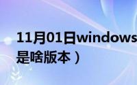 11月01日windows（11及multi及edition是啥版本）