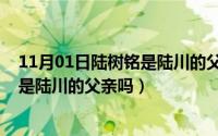 11月01日陆树铭是陆川的父亲吗为什么（11月01日陆树铭是陆川的父亲吗）