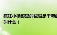 疯狂小杨哥里的爸爸是干嘛的（11月01日疯狂小杨哥的爸爸叫什么）