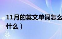 11月的英文单词怎么写（11月01日佳组词是什么）