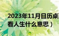 2023年11月日历桌面壁纸（11月01日冷眼看人生什么意思）