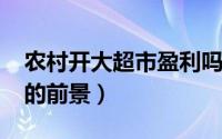 农村开大超市盈利吗（10月08日农村开超市的前景）