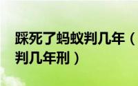 踩死了蚂蚁判几年（11月01日踩死一只蚂蚁判几年刑）