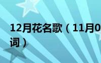 12月花名歌（11月01日花盛开是哪首歌的歌词）