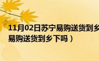 11月02日苏宁易购送货到乡下吗是真的吗（11月02日苏宁易购送货到乡下吗）