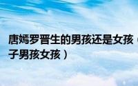 唐嫣罗晋生的男孩还是女孩（11月01日唐嫣罗晋生了几个孩子男孩女孩）