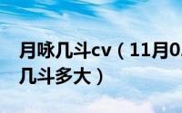 月咏几斗cv（11月02日《守护甜心》中月咏几斗多大）