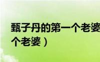 甄子丹的第一个老婆（11月01日甄子丹有几个老婆）