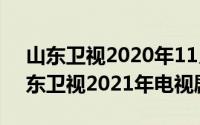 山东卫视2020年11月节目表（11月02日山东卫视2021年电视剧）