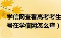 学信网查看高考考生号（11月02日高考考生号在学信网怎么查）