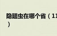 隐翅虫在哪个省（11月02日隐翅虫湖北有吗）