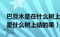 巴旦木是在什么树上长的（11月02日巴旦木是什么树上结的果）