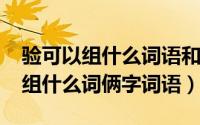 验可以组什么词语和拼音（11月02日验可以组什么词俩字词语）