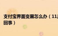 支付宝界面变黑怎么办（11月02日支付宝页面变灰色了怎么回事）