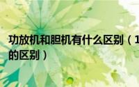 功放机和胆机有什么区别（11月03日功放胆机和普通功放机的区别）