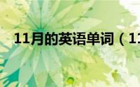 11月的英语单词（11月03日孔组词语词）