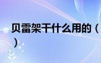 贝雷架干什么用的（11月03日贝雷架是什么）