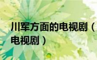 川军方面的电视剧（11月03日十部真实川军电视剧）