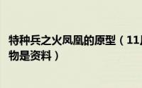 特种兵之火凤凰的原型（11月03日特种兵之火凤凰里面的人物是资料）