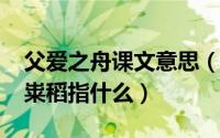 父爱之舟课文意思（11月03日父爱之舟里的粜稻指什么）