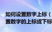 如何设置数字上标（11月03日EXCEL怎么设置数字的上标或下标）