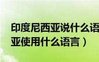 印度尼西亚说什么语音（11月03日印度尼西亚使用什么语言）