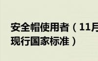 安全帽使用者（11月03日使用安全帽场所的现行国家标准）